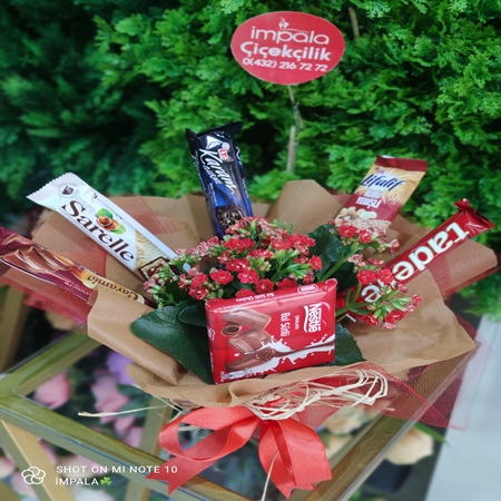 Saksı Çiçeği Kalonchoe+Çikolata